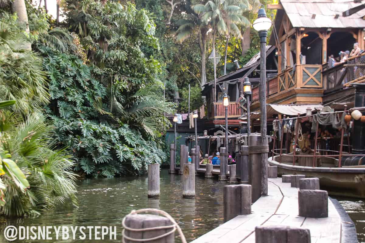 , Disneyland Update – A Million Little Pieces