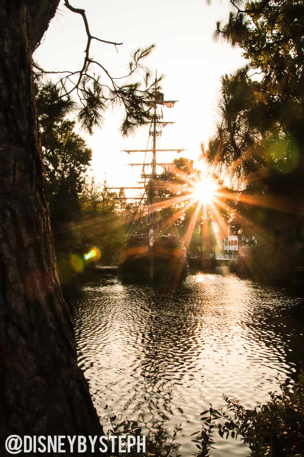 , Disneyland Update – A Million Little Pieces