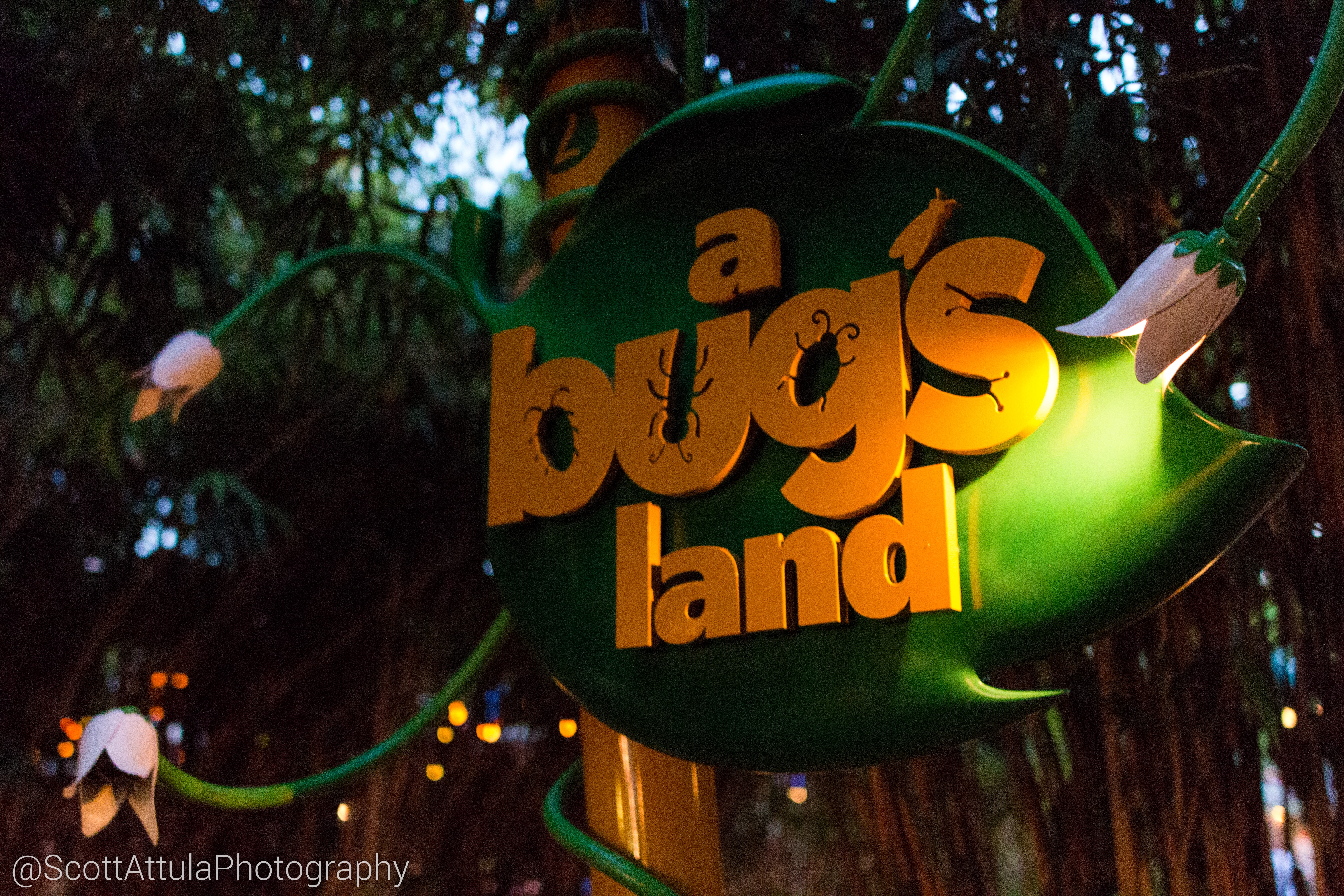 , Disneyland Resort Update – Summer Is For Rusting