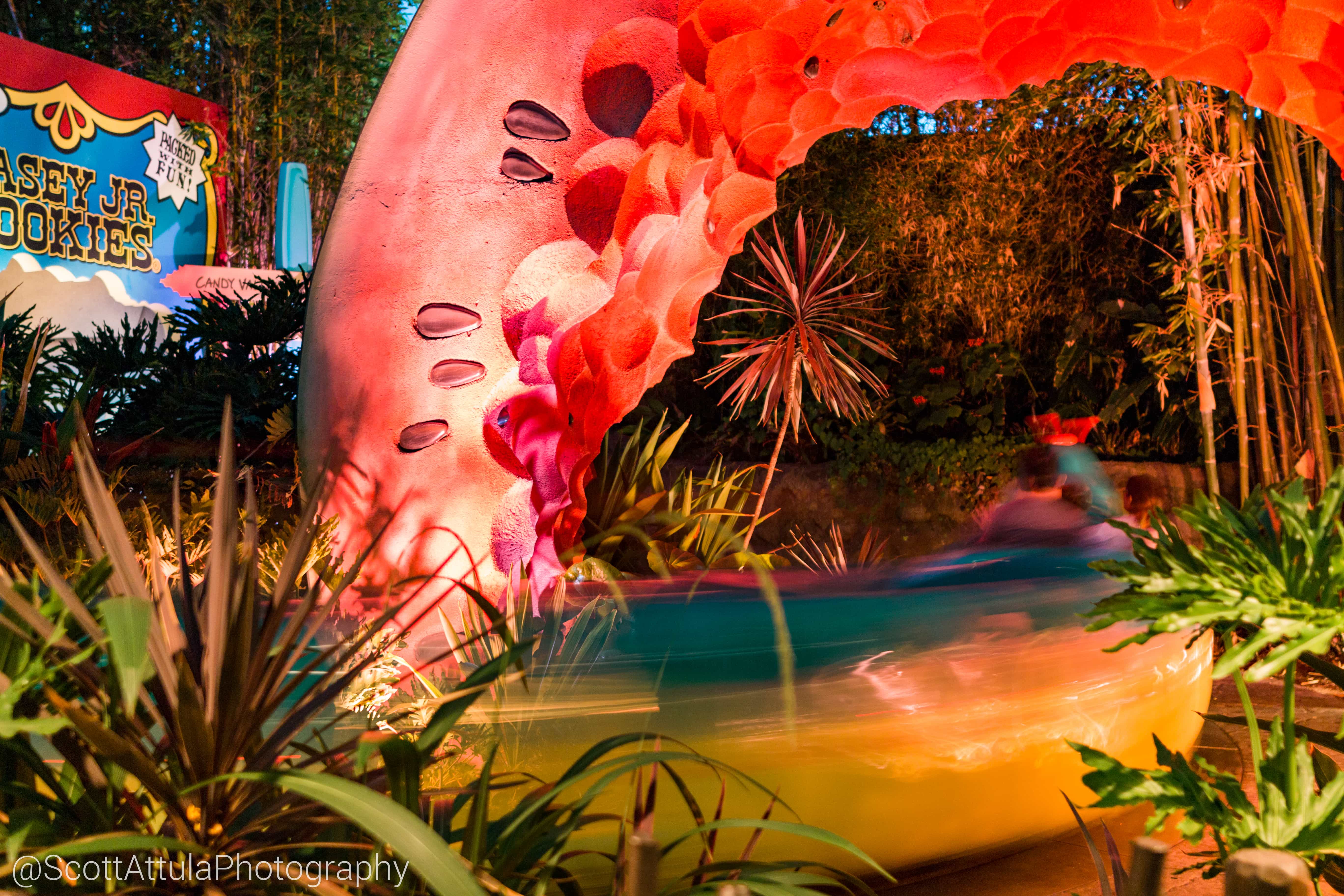 , Disneyland Resort Update – Summer Is For Rusting