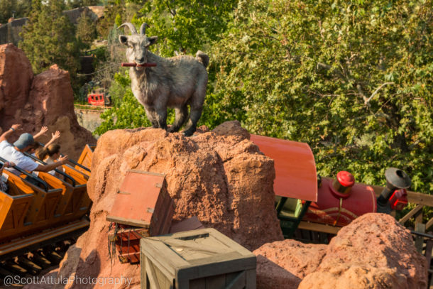 , Disneyland Photo Update: If We Can’t Fix It . . .