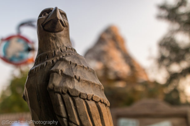 , Disneyland Photo Update: If We Can’t Fix It . . .