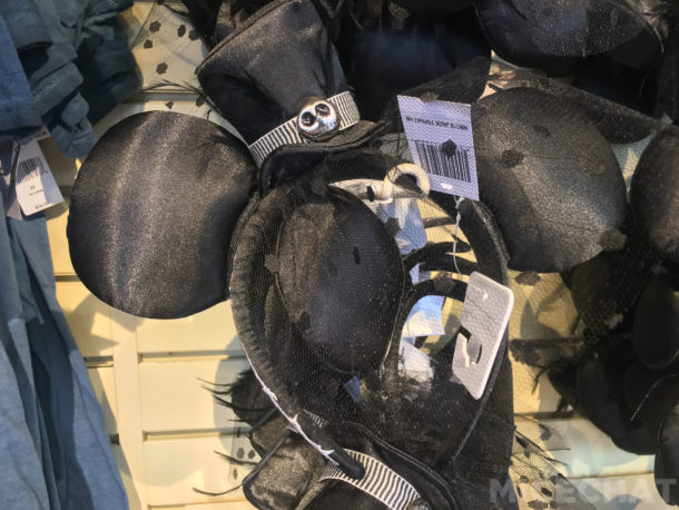 , Disneyland Update – A Ghost Will Follow You Home