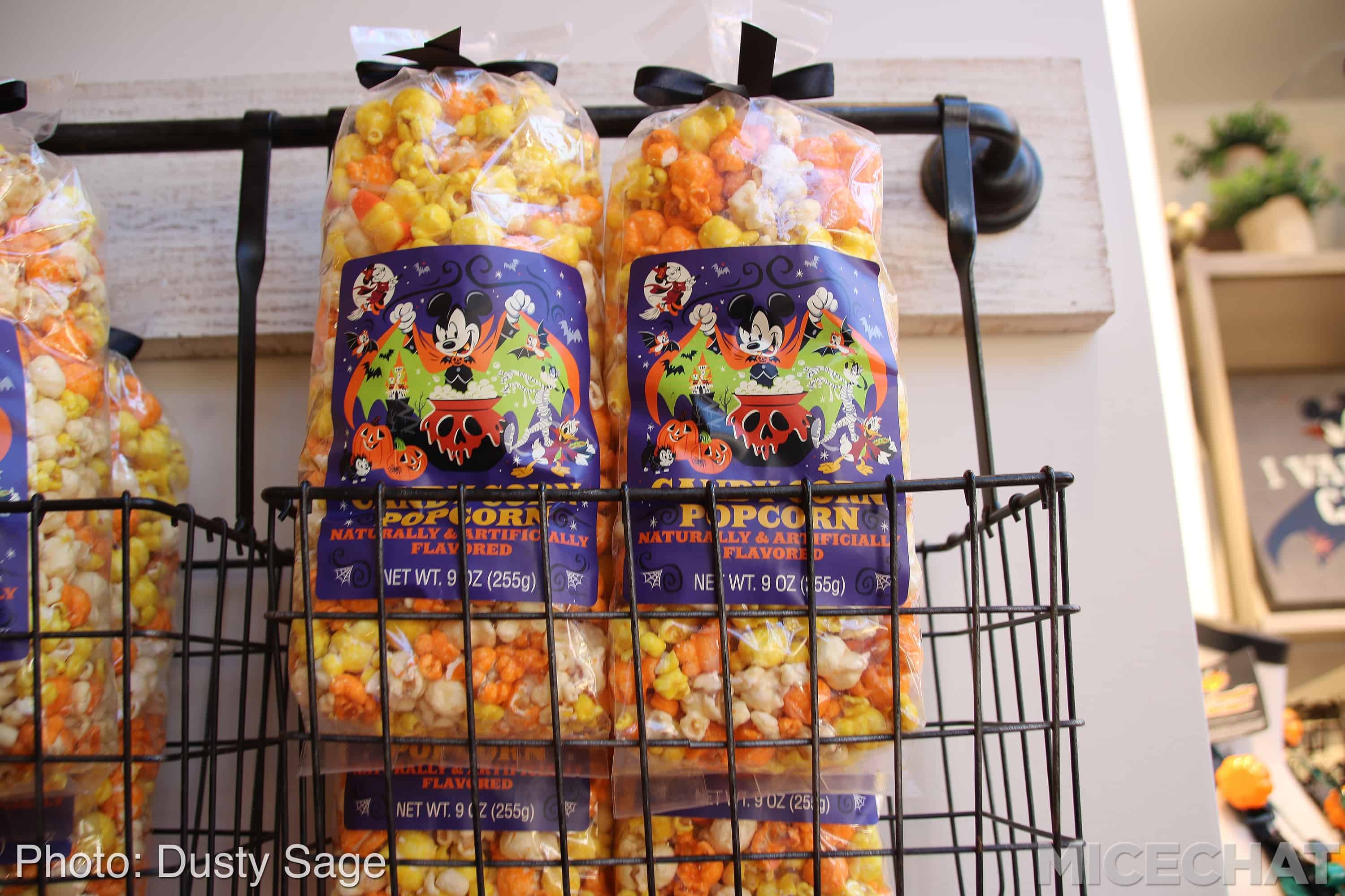 , Disneyland Update – A Ghost Will Follow You Home