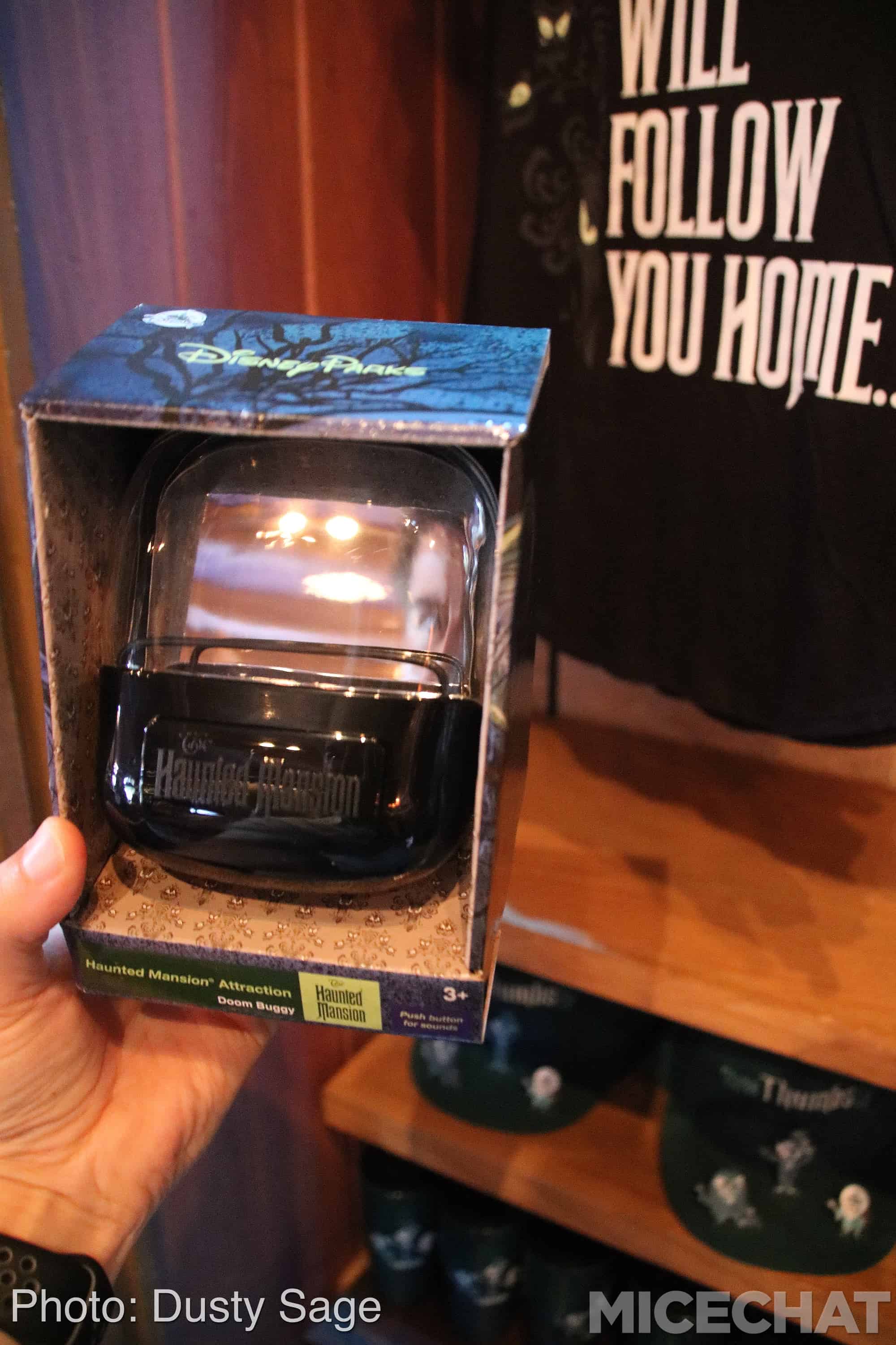 , Disneyland Update – A Ghost Will Follow You Home
