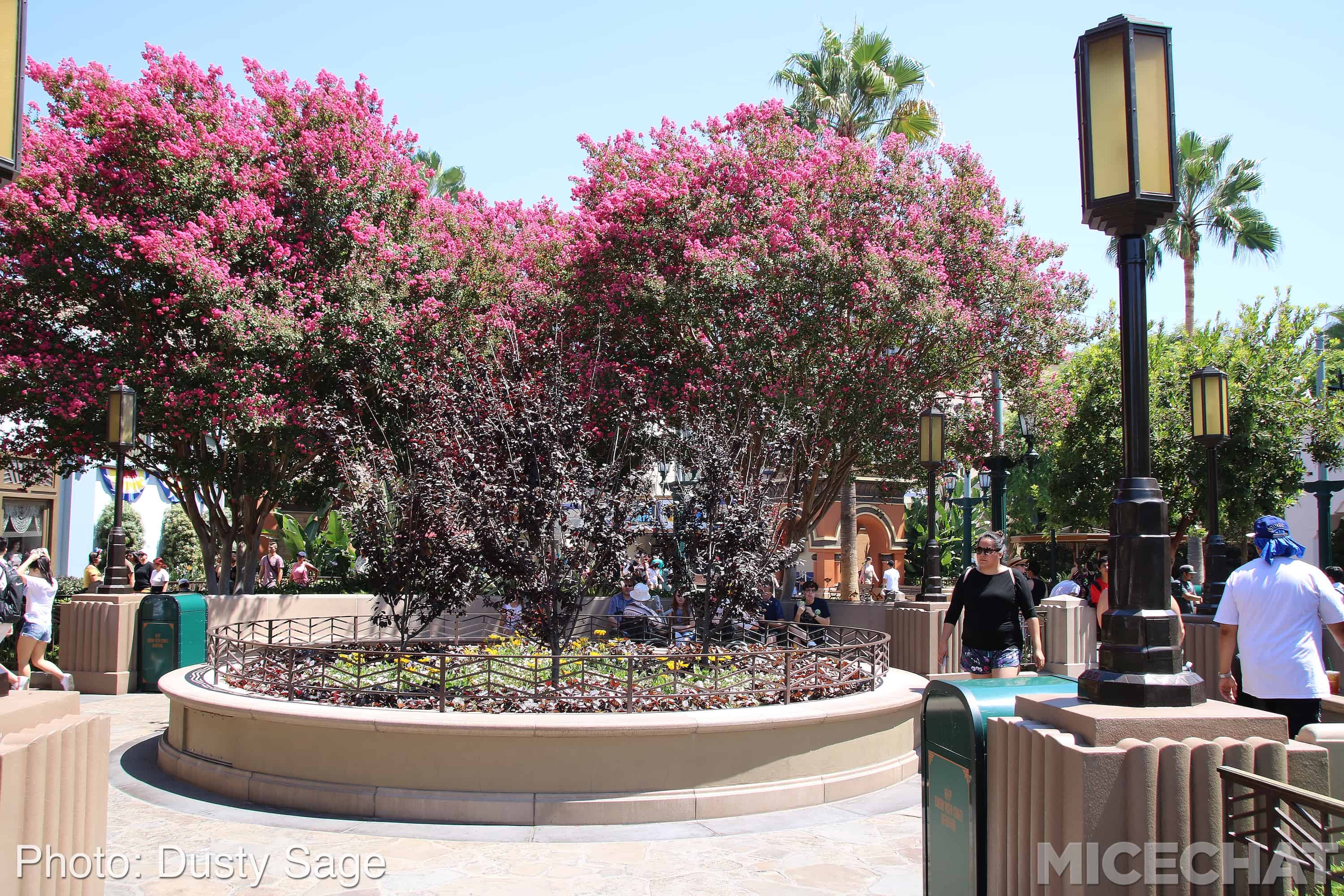 , Disneyland Resort Update – They’ve Come To Suck Your Blood