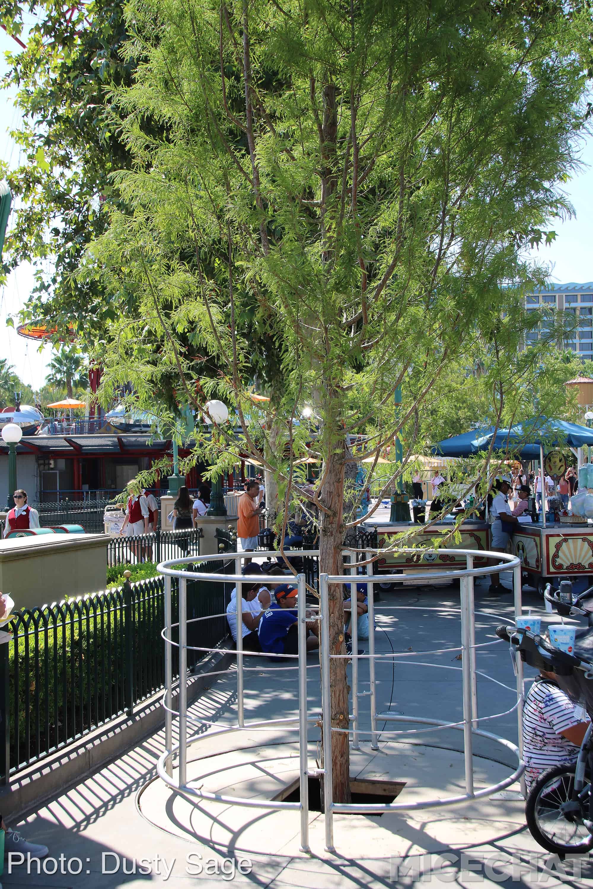 , Disneyland Resort Update – They’ve Come To Suck Your Blood
