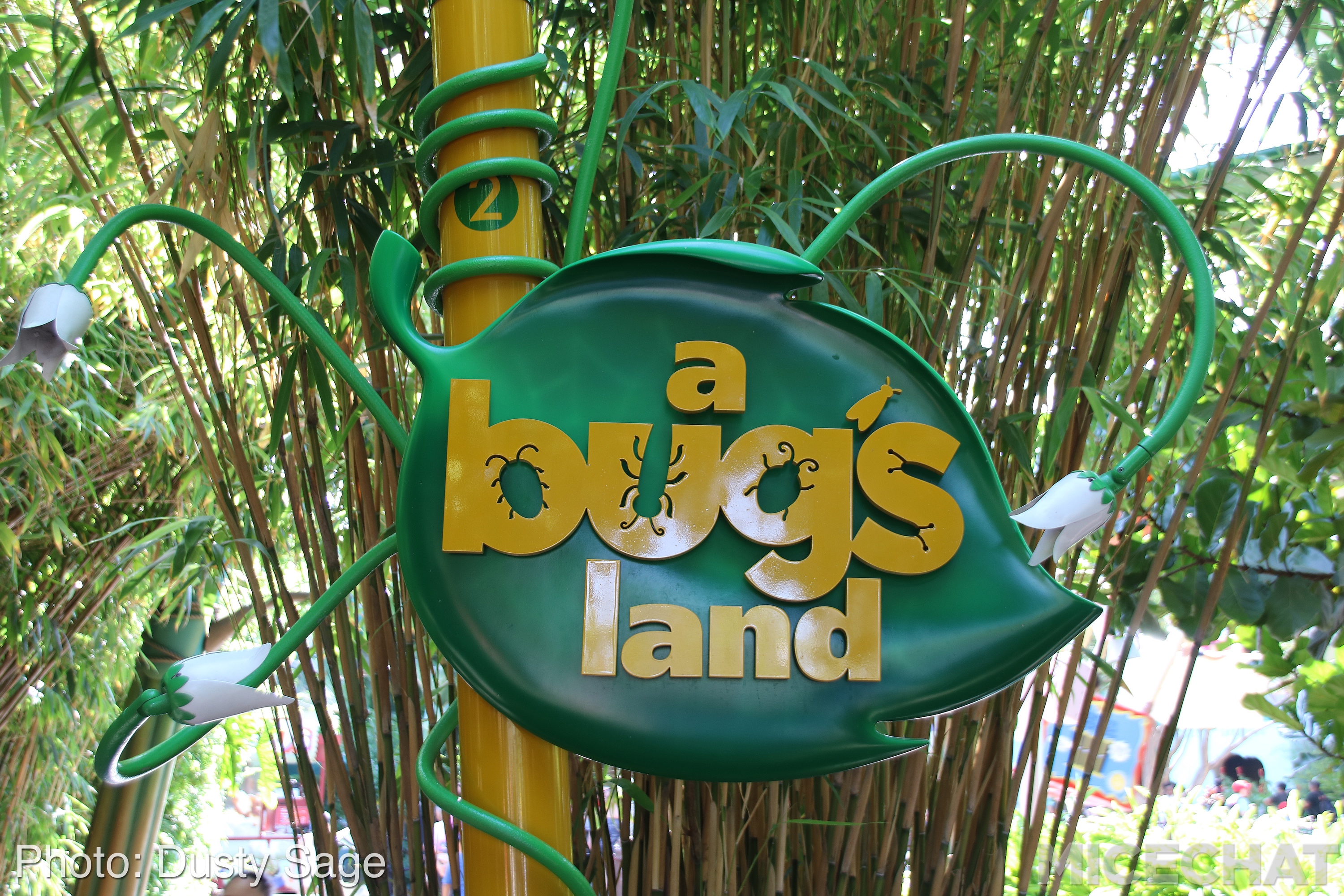 , Disneyland Resort Update – Summer Is For Rusting