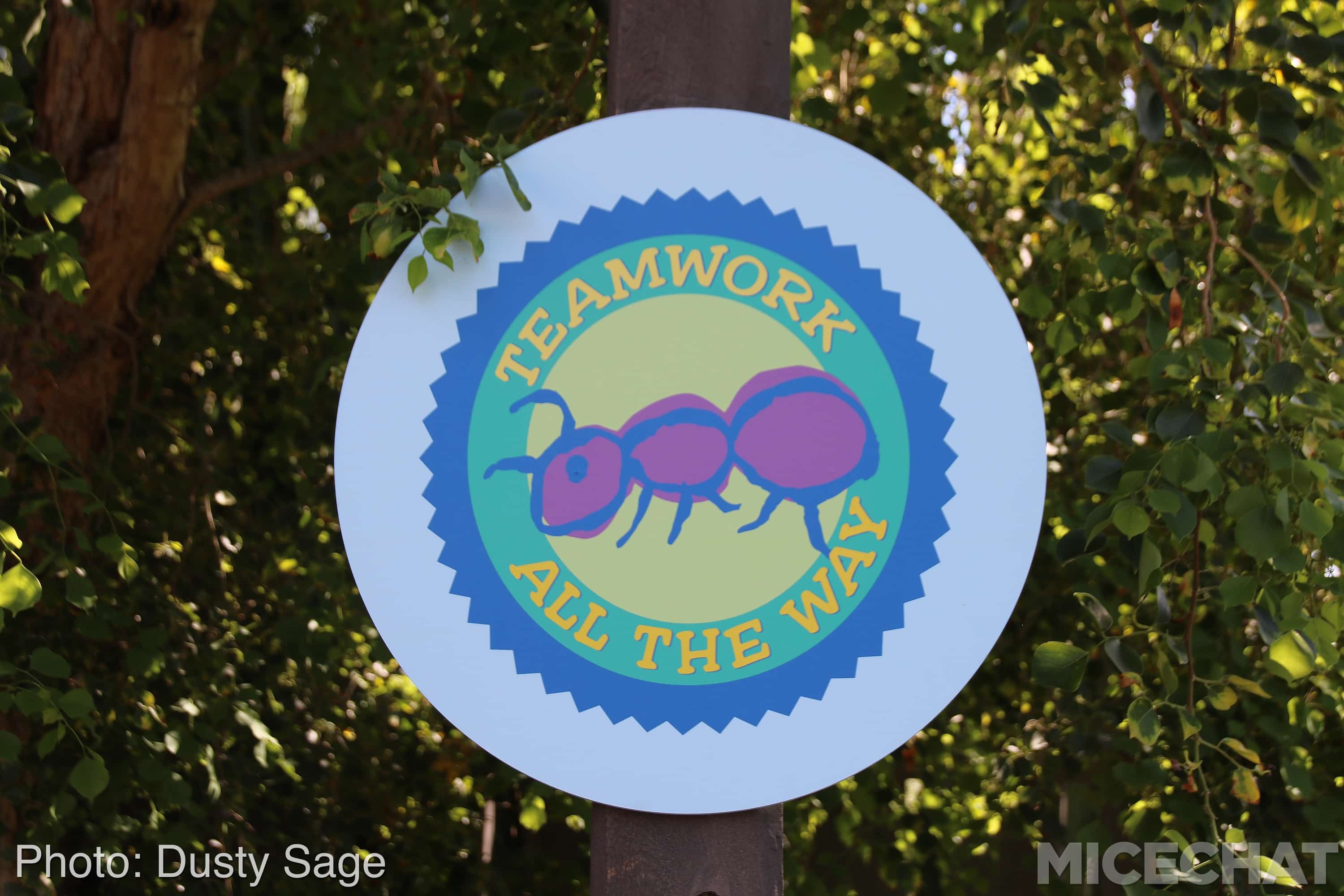 , Disneyland Resort Update – Summer Is For Rusting