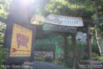 Photo_9653-Disneyland