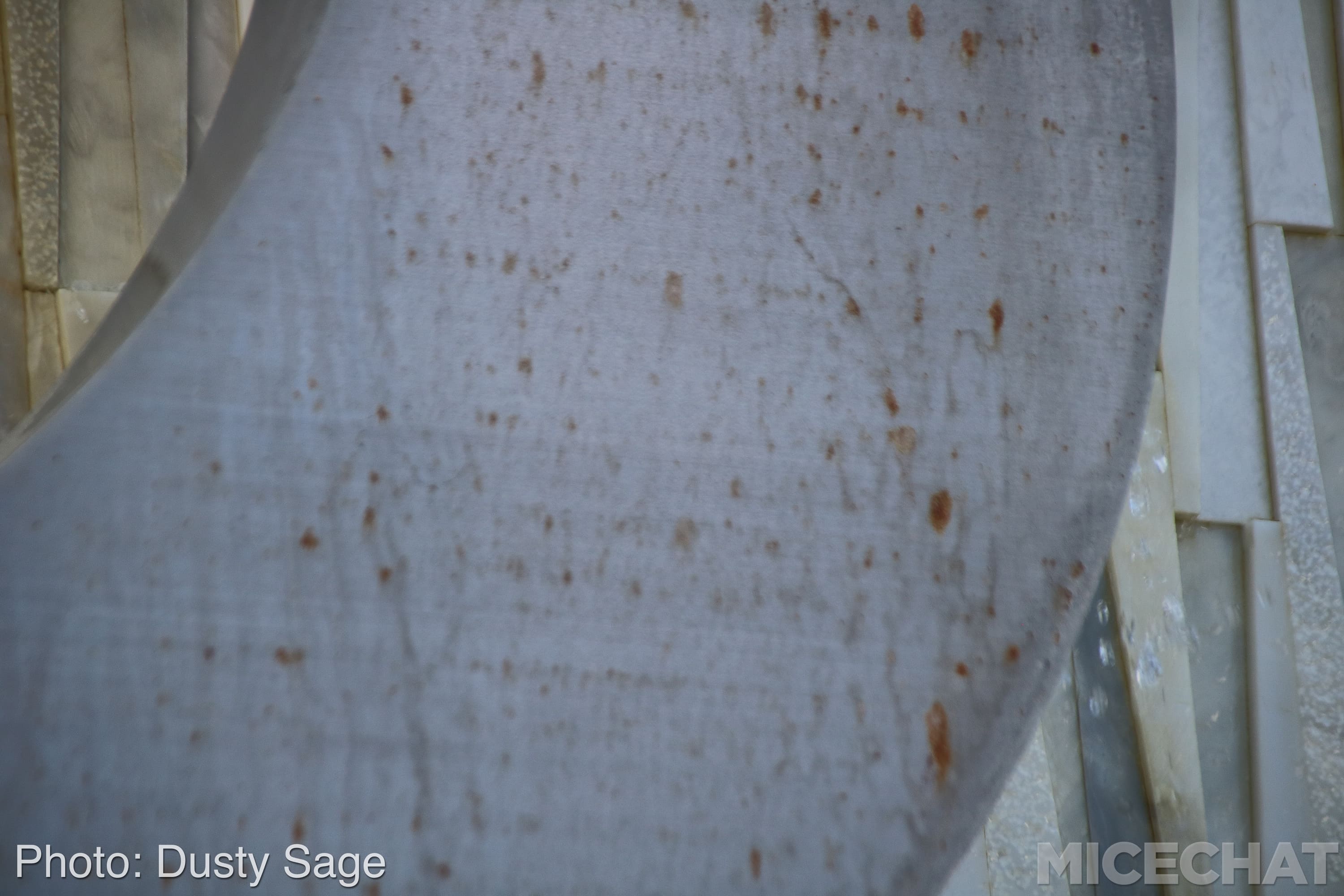 , Disneyland Resort Update – Summer Is For Rusting