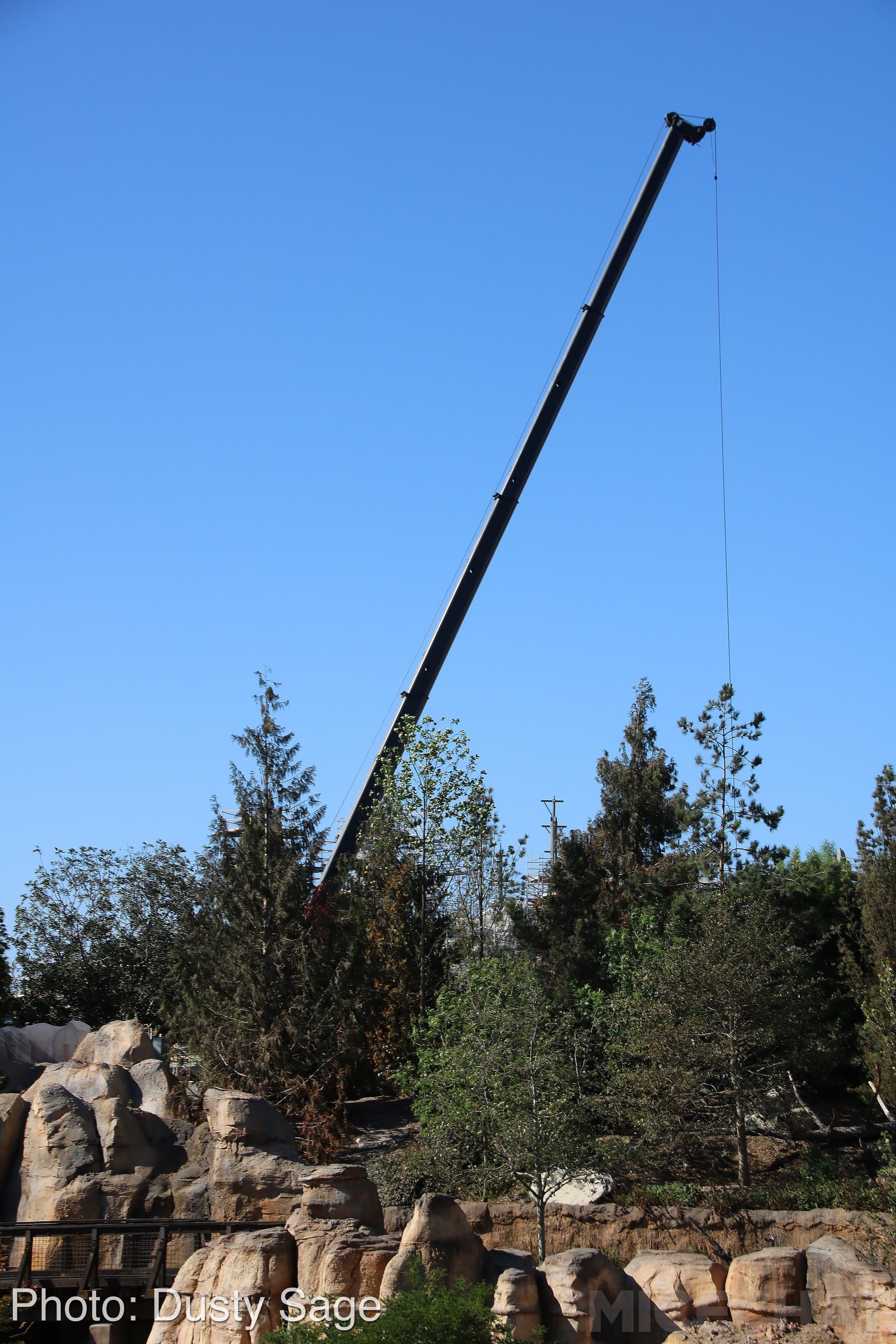 , Disneyland Update – A Million Little Pieces