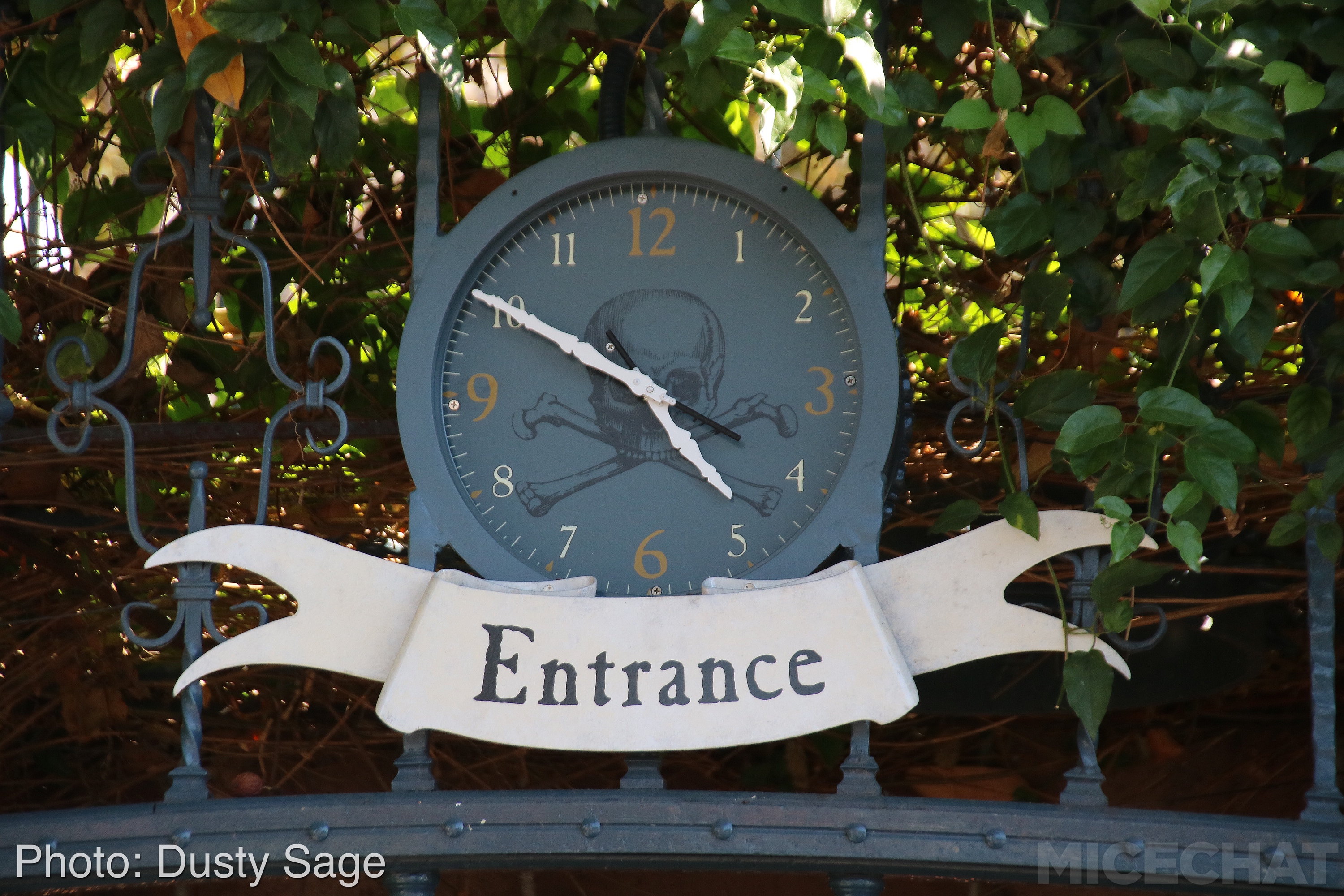 , Disneyland Update – A Million Little Pieces