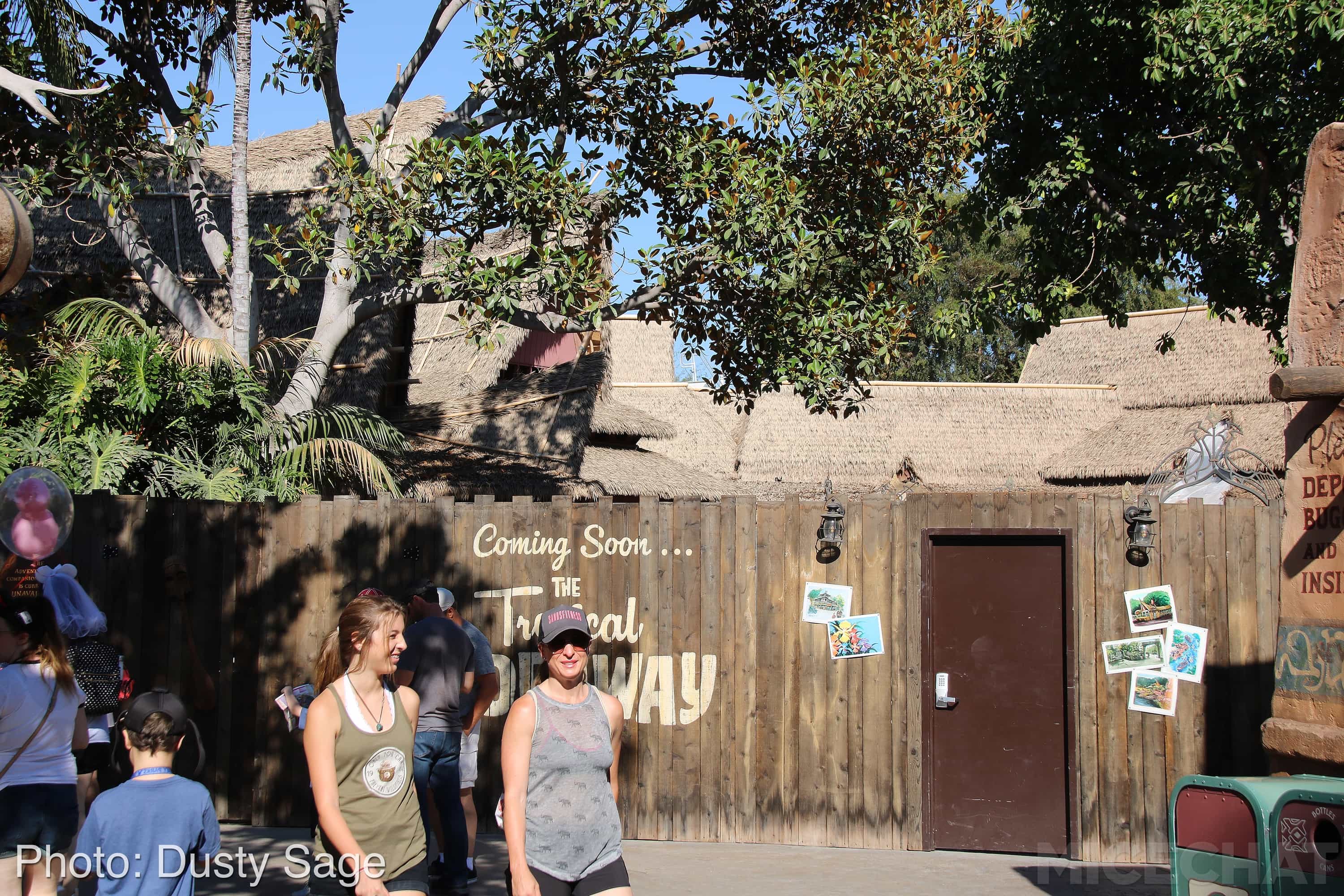 , Disneyland Update – A Million Little Pieces
