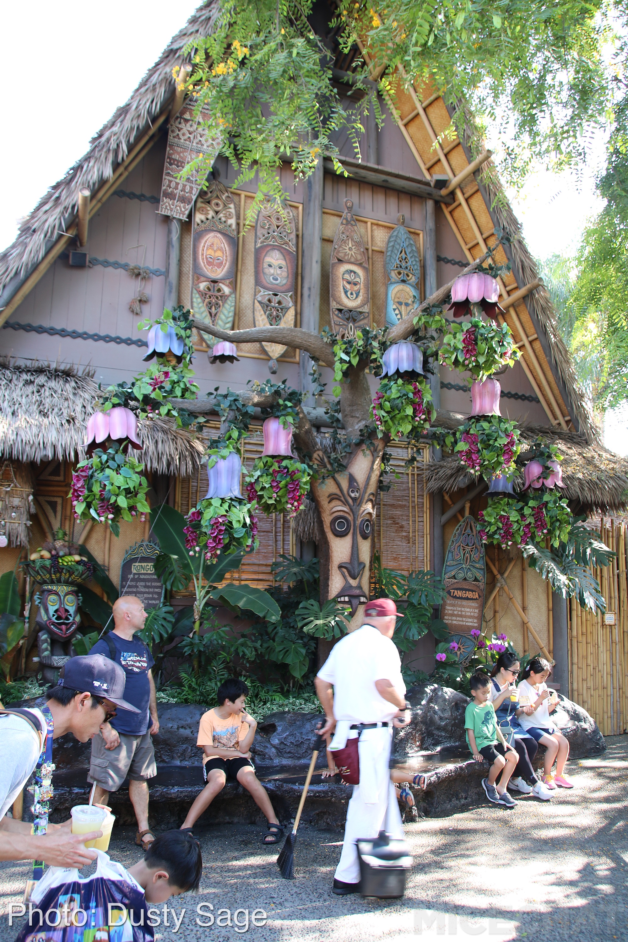 , Disneyland Update – A Million Little Pieces
