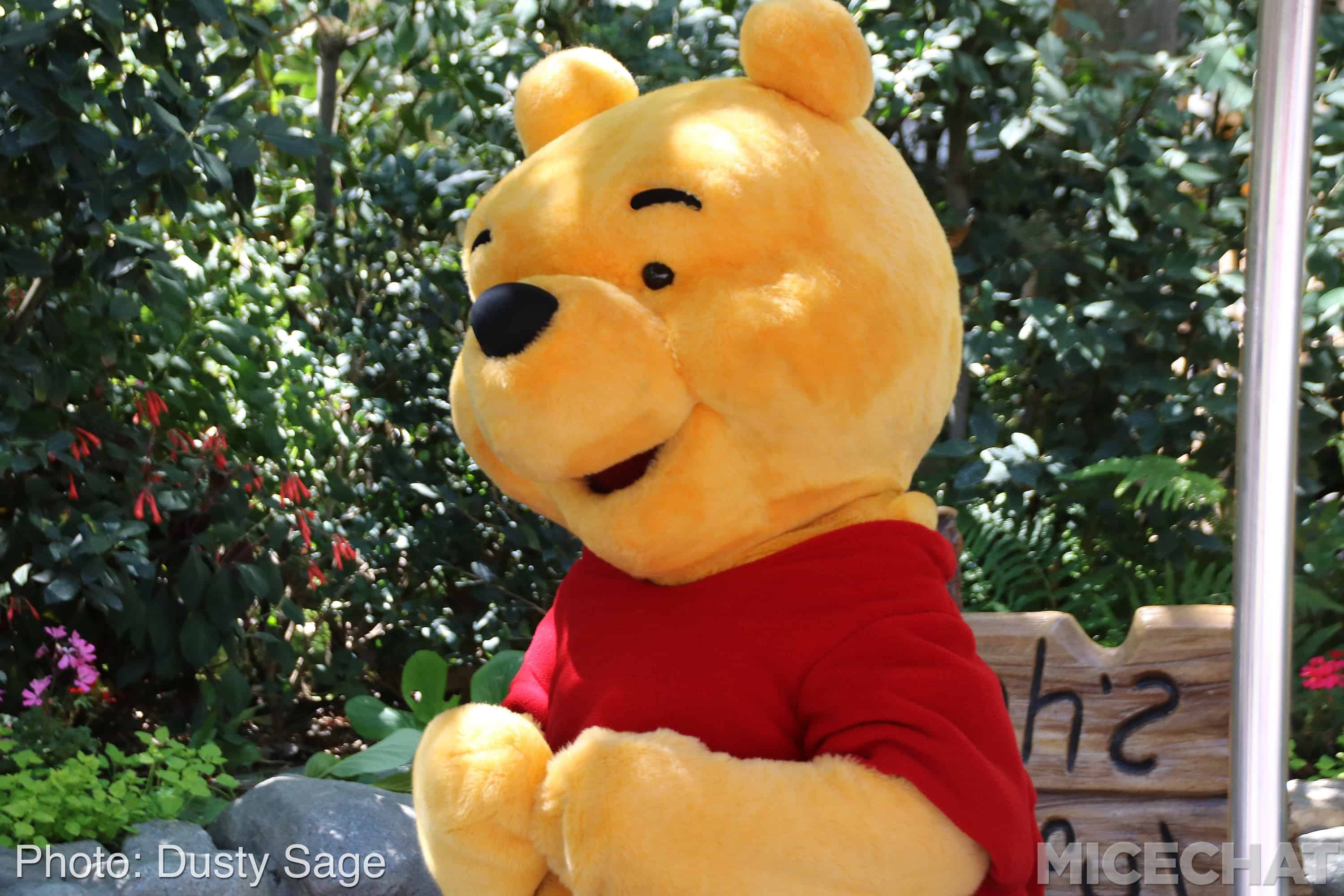 , Disneyland Update – A Million Little Pieces