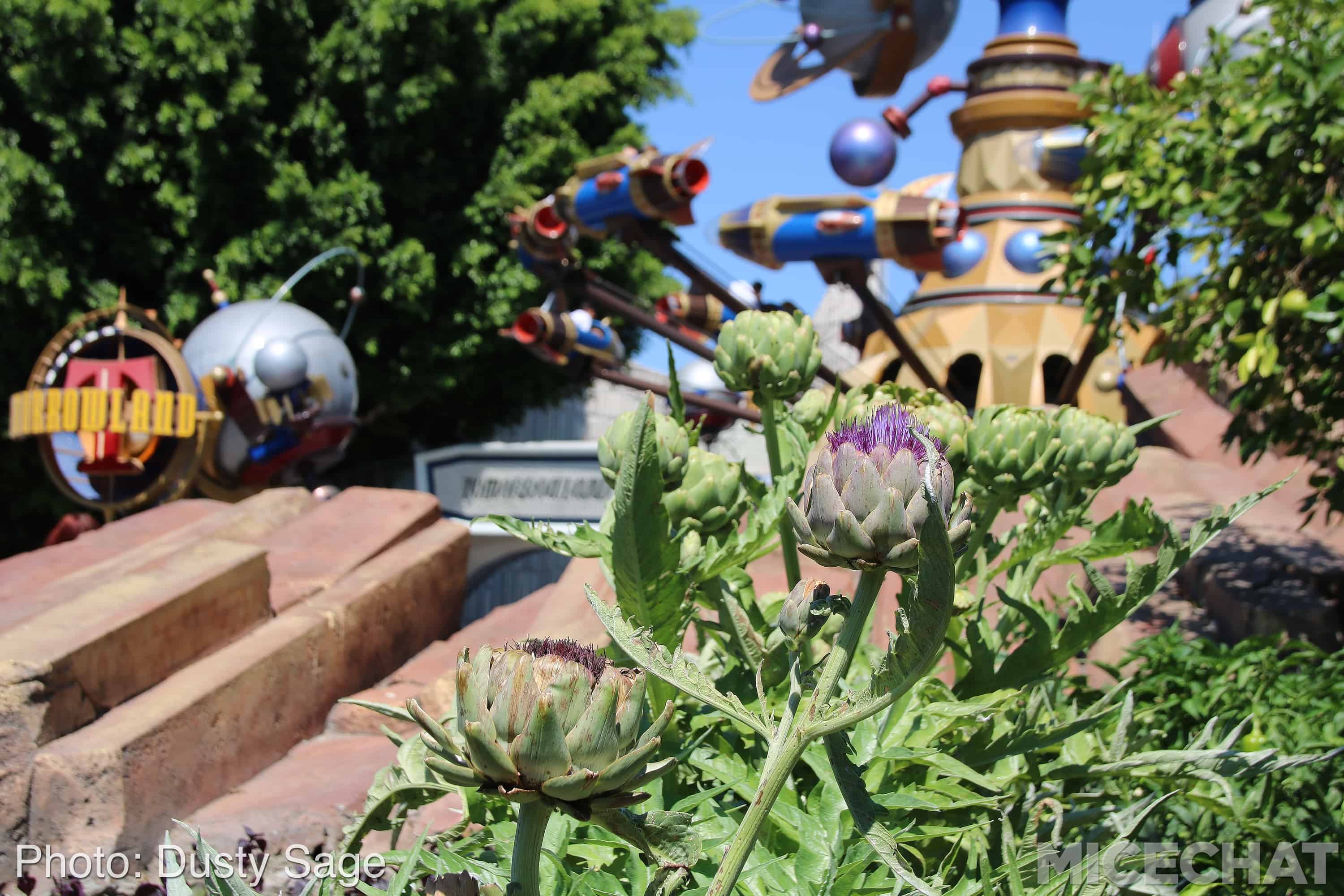 , Disneyland Update – A Million Little Pieces