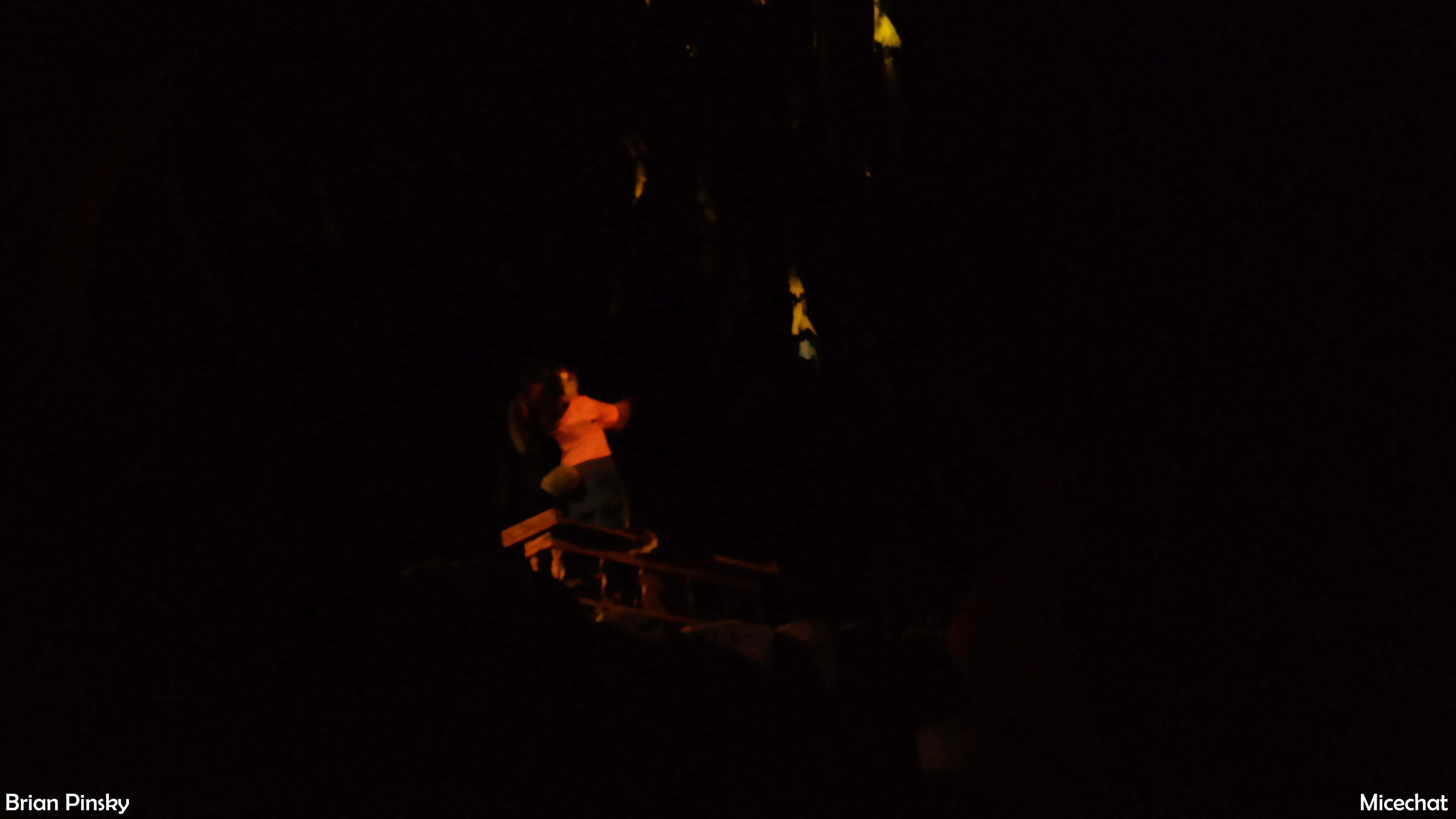 , Disneyland Photo Update: If We Can’t Fix It . . .