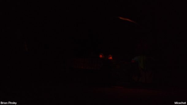 , Disneyland Photo Update: If We Can’t Fix It . . .