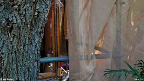 , Disneyland Update – A Ghost Will Follow You Home