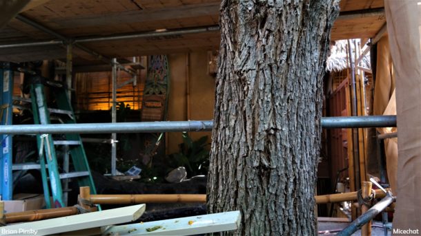 , Disneyland Update – A Ghost Will Follow You Home