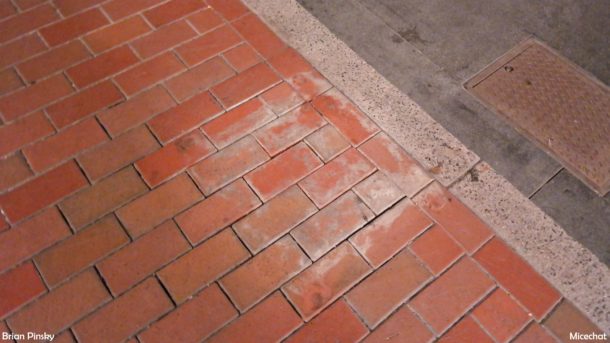 , Disneyland Photo Update: If We Can’t Fix It . . .