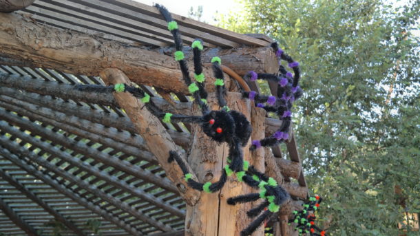 , Knott&#8217;s Berry Farm Update &#8211; It&#8217;s Monster Season