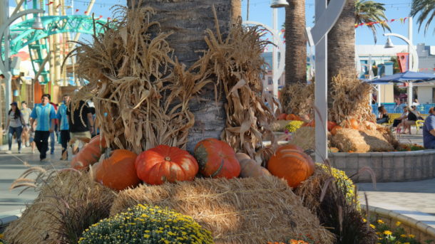 , Knott’s Berry Farm Update – It’s Monster Season
