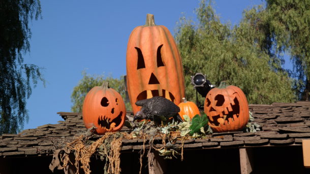, Knott’s Berry Farm Update – It’s Monster Season