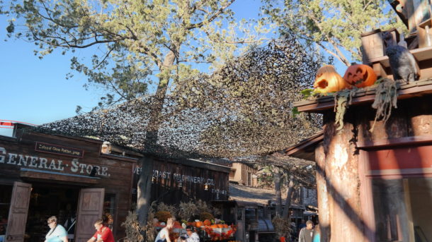 , Knott’s Berry Farm Update – It’s Monster Season