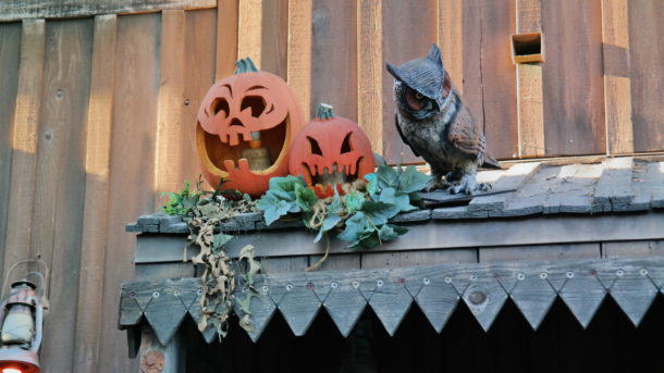 , Knott’s Berry Farm Update – It’s Monster Season