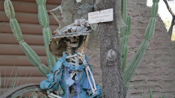 , Knott’s Berry Farm Update – It’s Monster Season