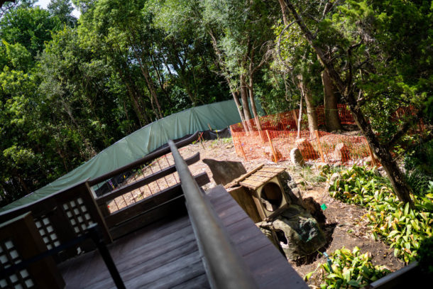 , Dateline Disney World: Guardians, Food and Wine