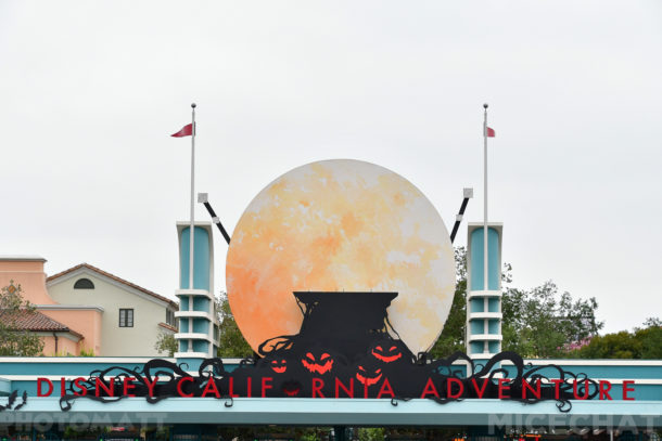 , Disneyland Update – Friends Until The End