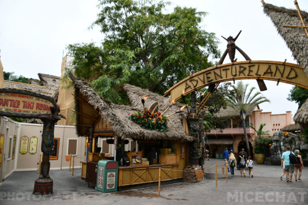 , Disneyland Update – Friends Until The End