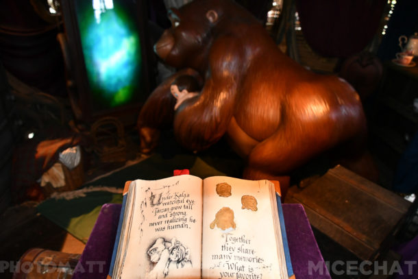 , Disneyland Update – Friends Until The End
