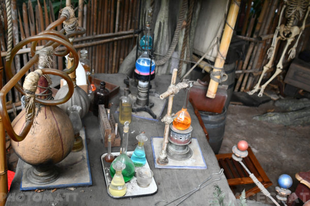 , Disneyland Update – Friends Until The End