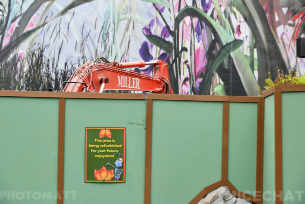, Disneyland Update – Friends Until The End
