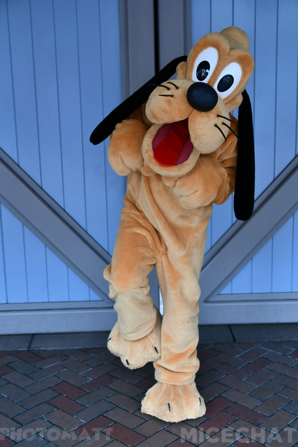 , Disneyland Update – Friends Until The End