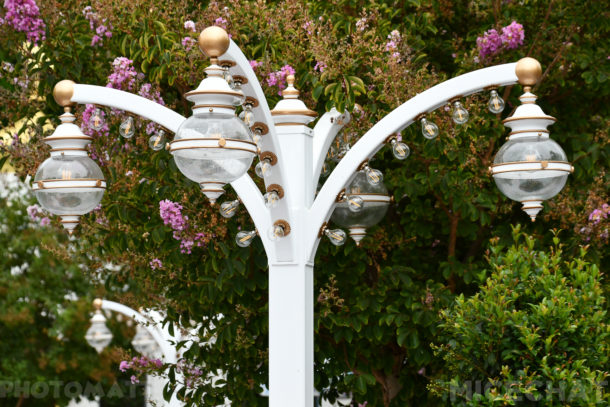, Disneyland Update – Friends Until The End