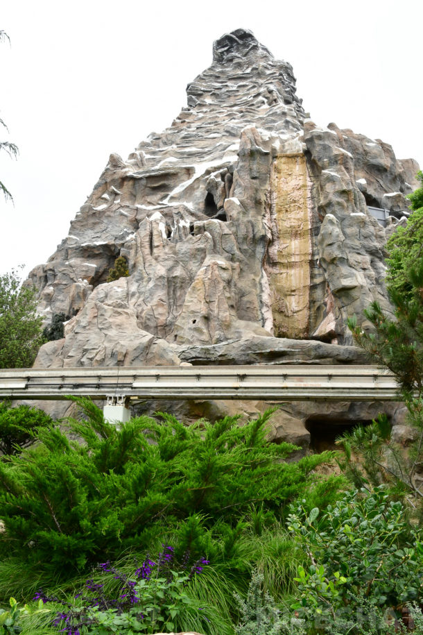 , Disneyland Update – Friends Until The End