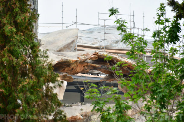 , Disneyland Update – Friends Until The End