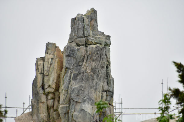 , Disneyland Update – Friends Until The End