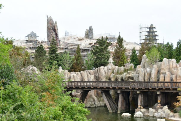 , Disneyland Update – Friends Until The End