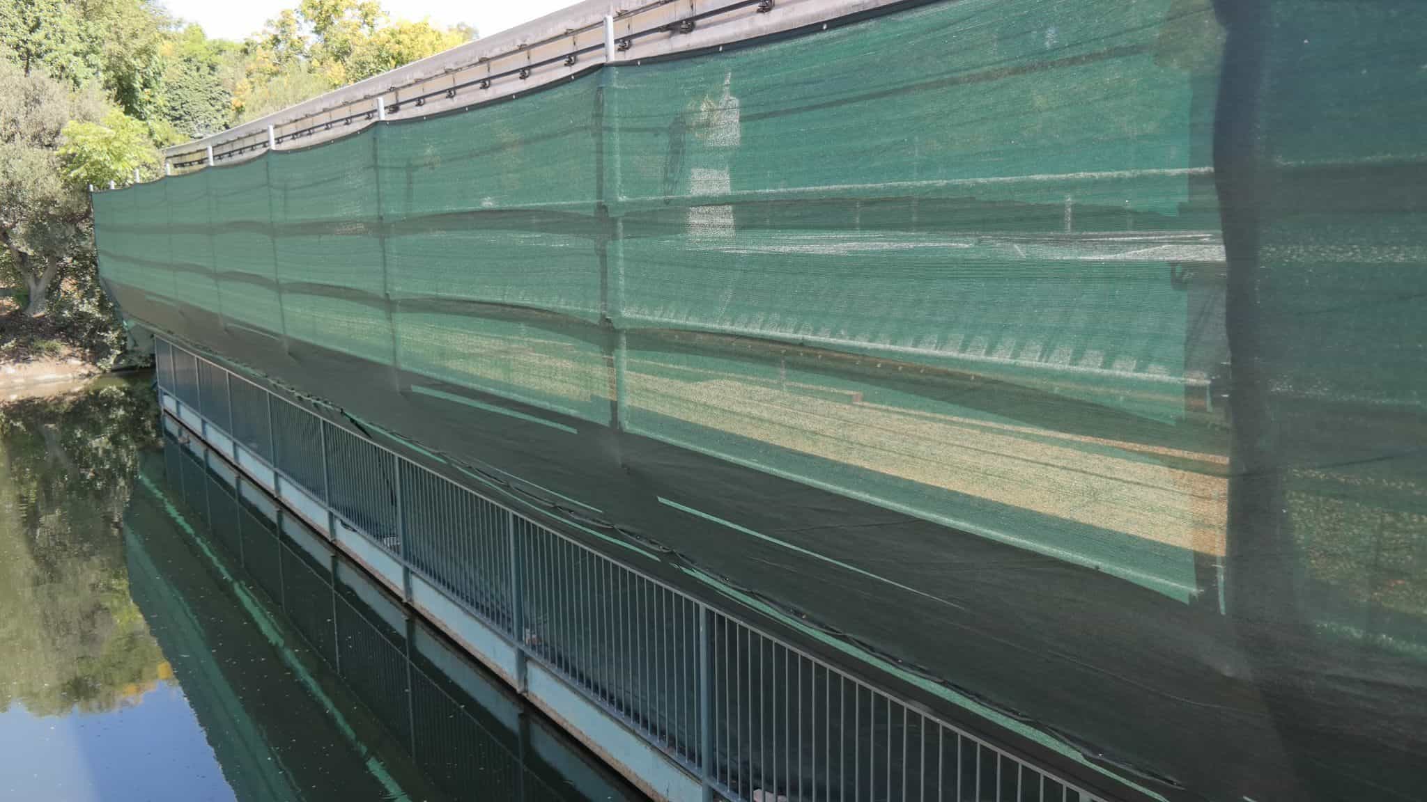 , Disneyland Update – Fall in Line