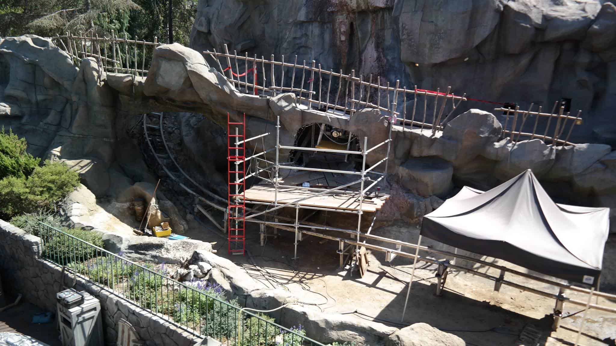 , Disneyland Update &#8211; Fall in Line