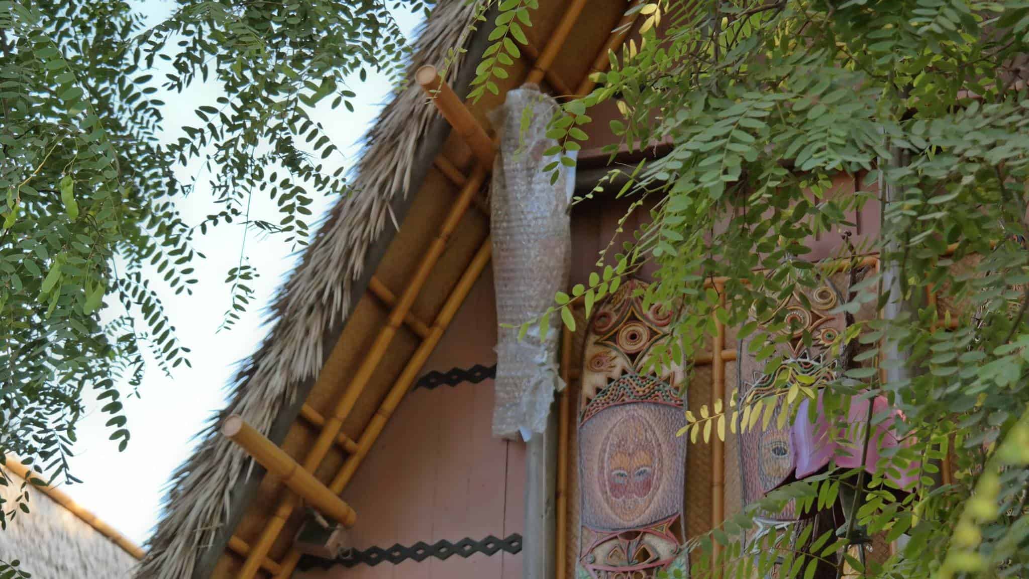 , Disneyland Update – Fall in Line