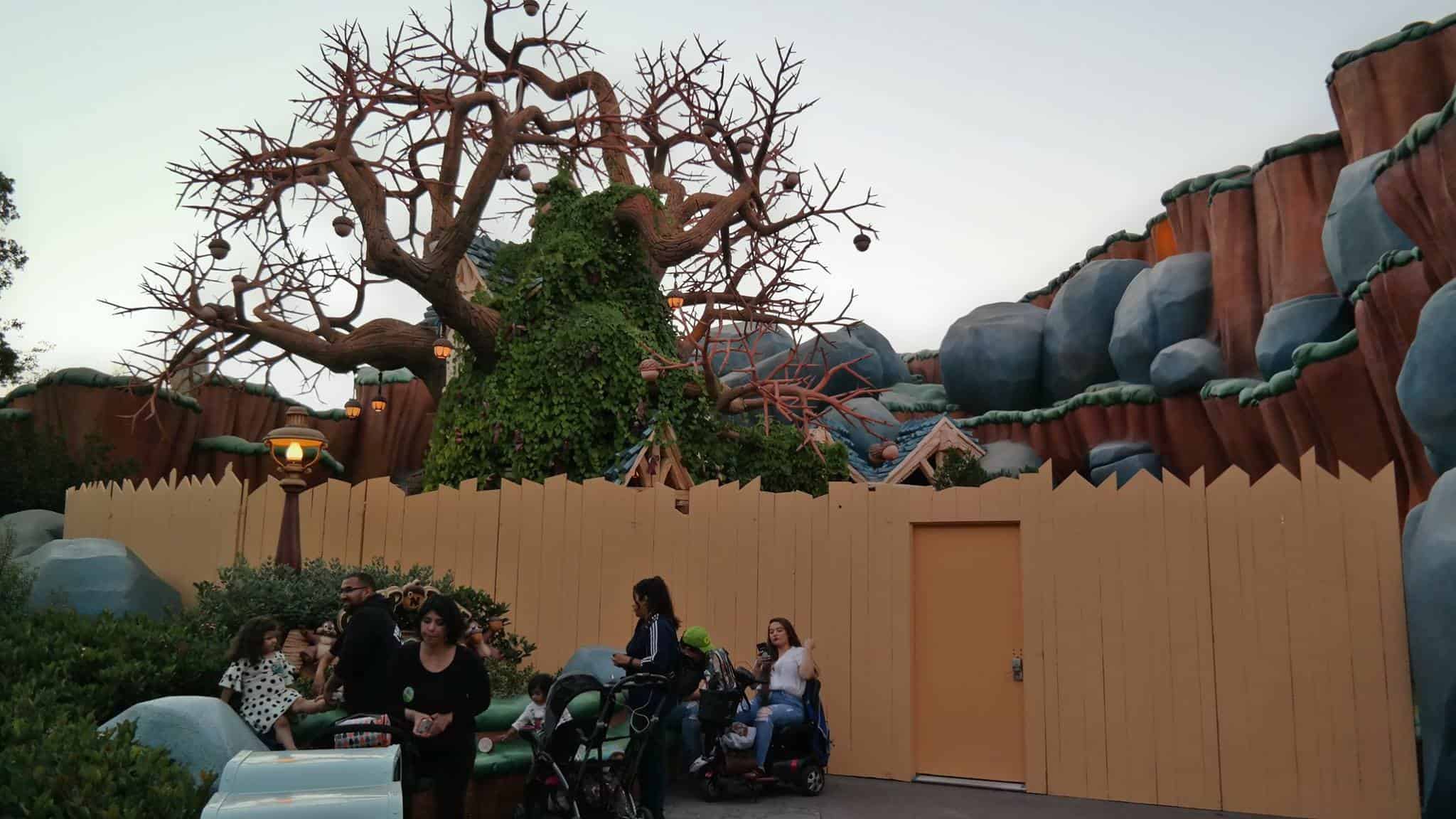 , Disneyland Update &#8211; Fall in Line