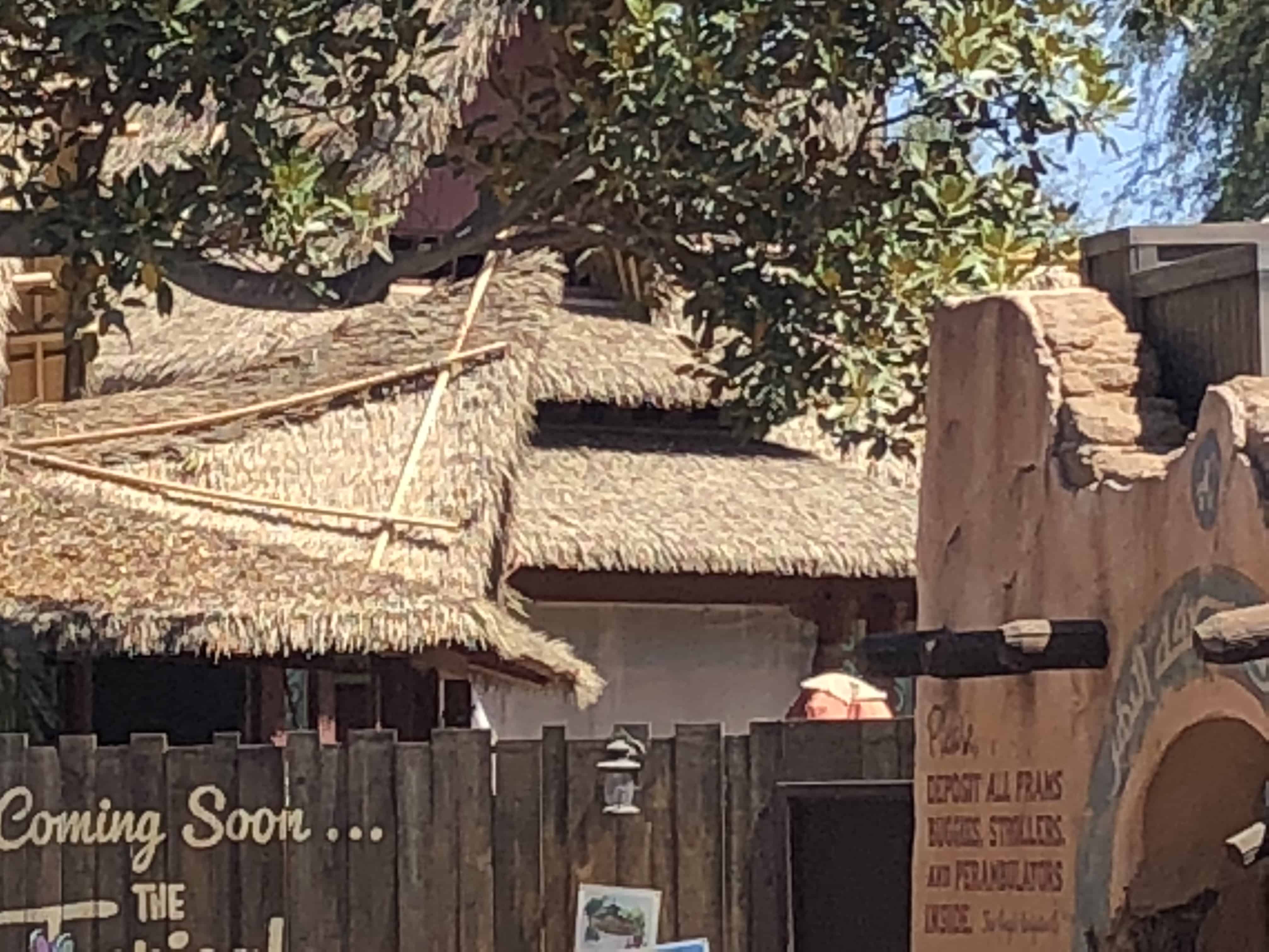 , Disneyland Update – Monorail Blues and Wall-O-Ween