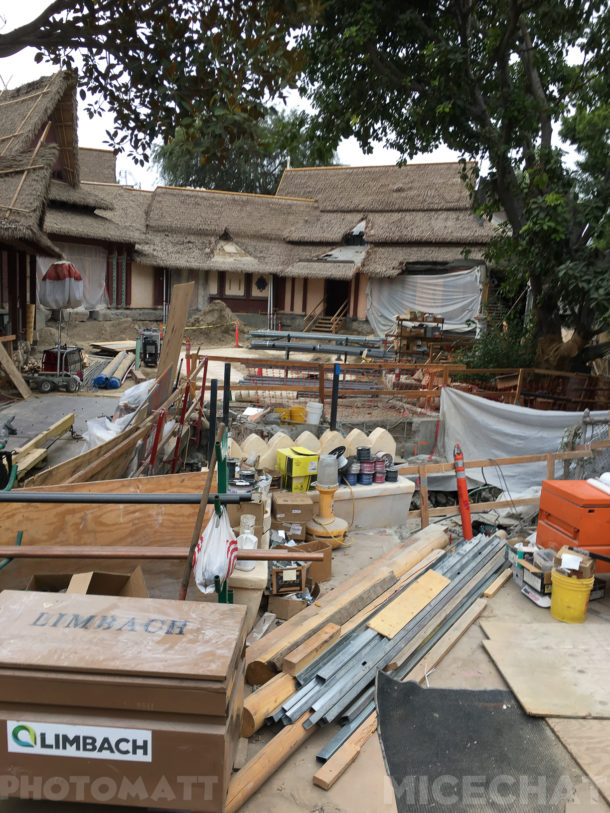 , Disneyland Update – Friends Until The End